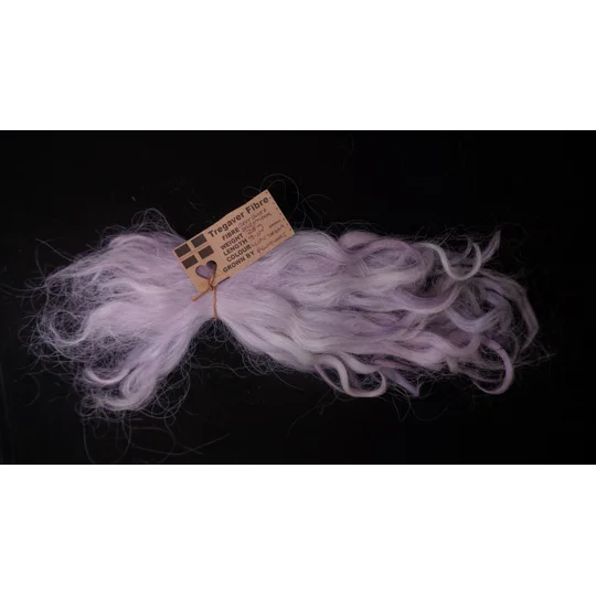 Lilac Dream wavy wool locks, Grey Faced Dartmoor, rare breed sheep (v)