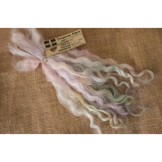 Fairy Glen Rainbows Devon and Cornwall longwool locks 10g