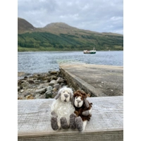 Daisy and Maisie Needle Felting Fibre Pack