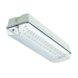 Firechief FEB04 4W LED Emergency IP65 Bulkhead