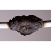 KBS Cable Coating - 25kg Pail