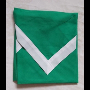 Replacement Childs Group Neckerchief & Badge (Given free at investiture)