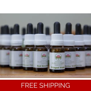 Australian Bush flower Essences Counseling