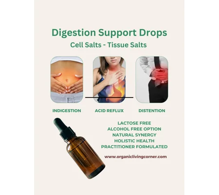 Digestive Support Cell Salts