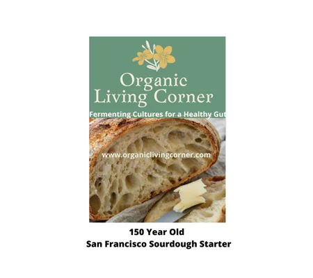 San Francisco Heirloom Sourdough Starter - Grown in Structured Water