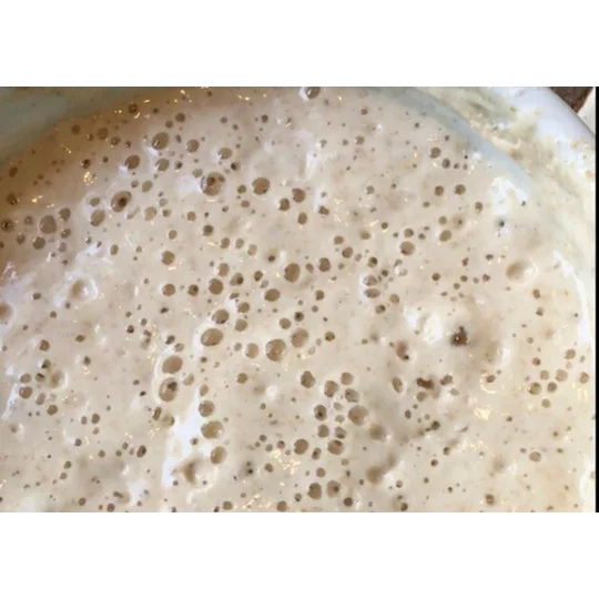 Spelt Sourdough Culture Heirloom Starter
