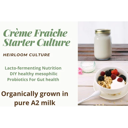 Crème Fraiche Starter Culture. Grown in A2 beta casein cream. Mesophilic crème fraiche starter. DIY
