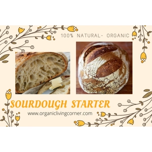 Einkorn Sourdough fermenting culture Heirloom starter