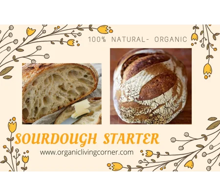 Einkorn Sourdough fermenting culture Heirloom starter
