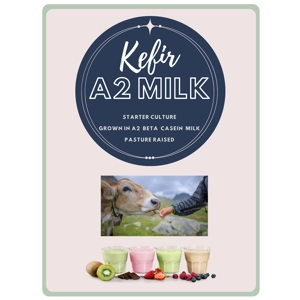 KEFIR STARTER No Grains To Strain 5 sachets A2 Milk Grown ..