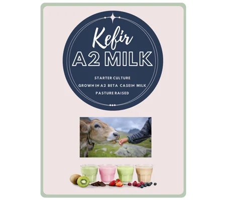 KEFIR STARTER No Grains To Strain 5 sachets A2 Milk Grown Probiotic Gut Health