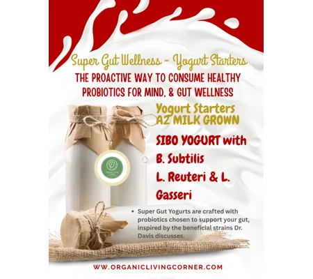 A2 Milk SIBO Yogurt Starter with Bacillus Subtilis, L. Reuteri & L. Gasseri, Super Gut Yogurt Kit