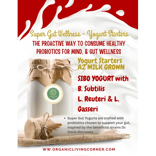 A2 Milk SIBO Yogurt Starter with Bacillus Subtilis, L. Reuteri & L. Gasseri, Super Gut Yogurt Kit