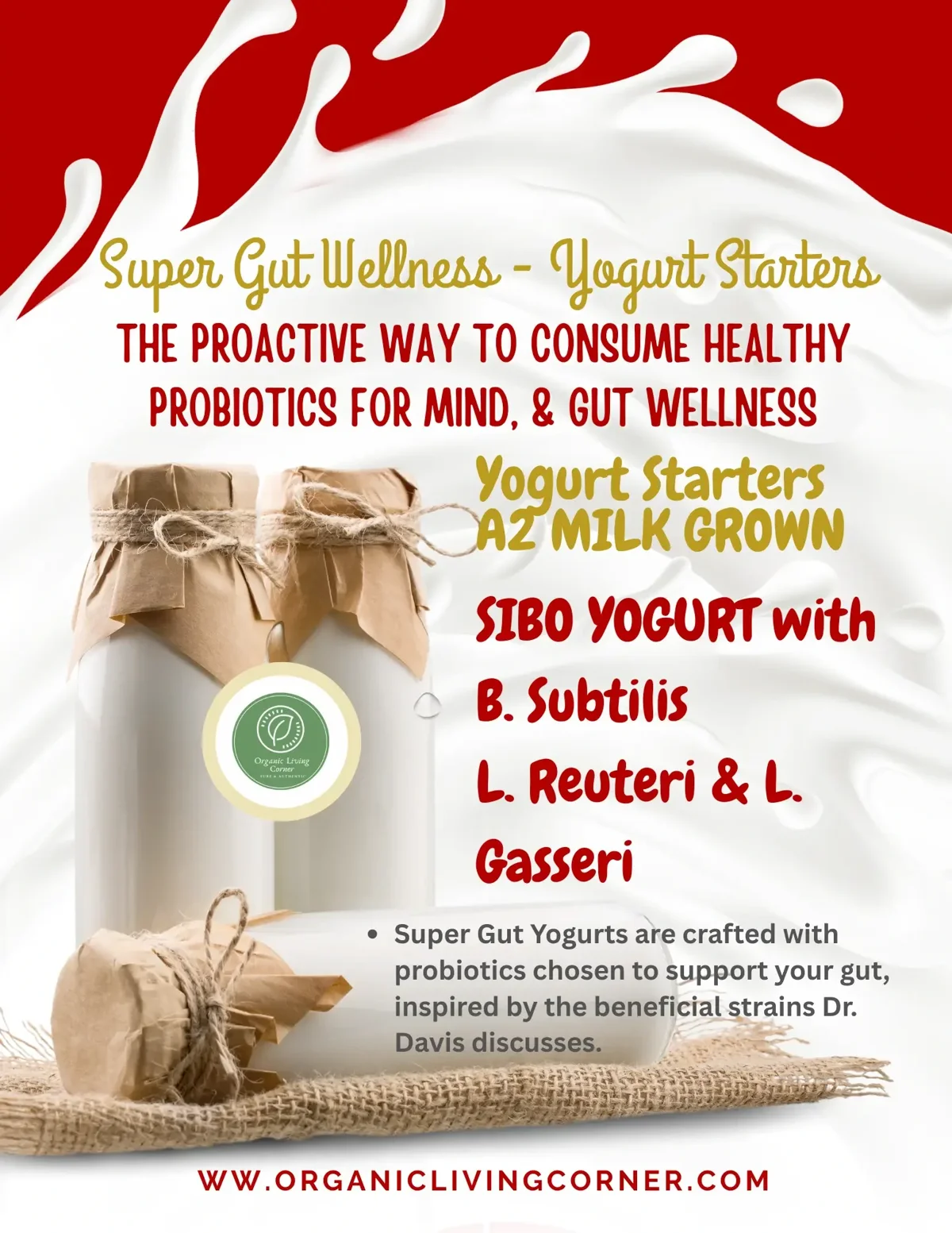 Probiotic Yogurt Starter Cultures & SIBO Yogurt: Inspired by Dr. William Davis’s Super Gut
