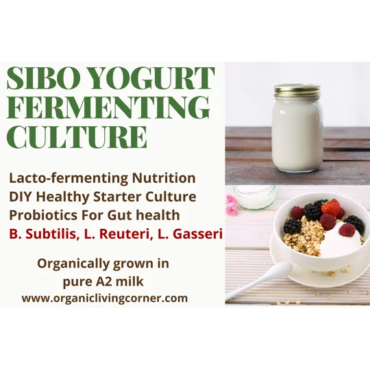 A2 Milk SIBO Yogurt Starter with Bacillus Subtilis, L. Reuteri & L. Gasseri, Super Gut Yogurt Kit