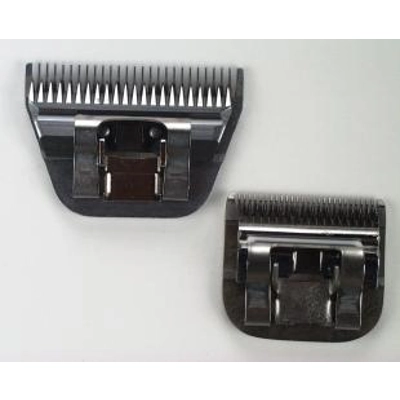 Liveryman Harmony ..