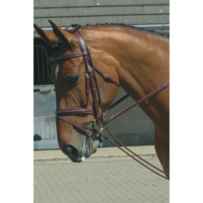 Elastic Training R..