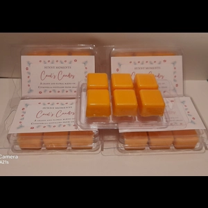 Homemade Sunny Moments - soy wax melts - Orange Citronella, Carol's Candles and gifts