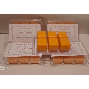 Homemade Sunny Moments - soy wax melts - Orange Citronella, Carol's Candles and gifts