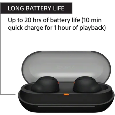 Sony WF-C500 Truly Wireless In-Ear Bluetooth Earbud Headphones with Mic and IPX4 water resistance, Black
