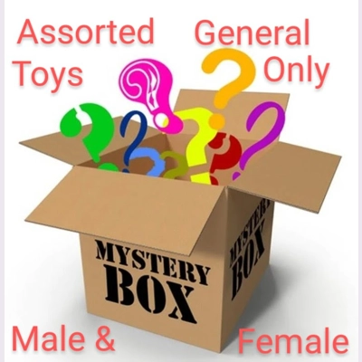 Mystery Box General Toys MF Couples