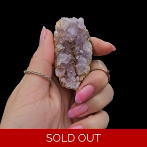 Custom Auction Winner Listing - Nichole Stasinos