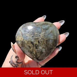 Custom Auction Winner Listing - Bree Laughlin