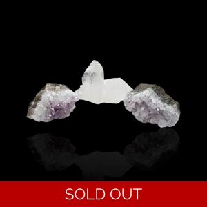 Custom Auction Winner Listing - Nichole Stasinos
