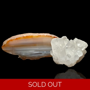 Custom Auction Winner Listing - Nichole Stasinos