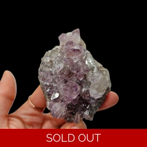 Custom Auction Winner Listing - Chrissy Jameson