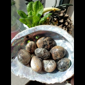 Madagascar Black Moonstone Palmstones Madagascar Black Moonstone Palmstones