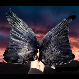 Smudge Crow Wings Pair