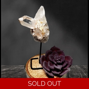 Clear Quartz With Inclusions and Golden Healer vibes, On Stand Clear Quartz With Inclusions and Golden Healer vibes, On Stand