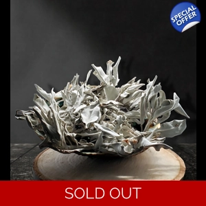 Loose California White Sage