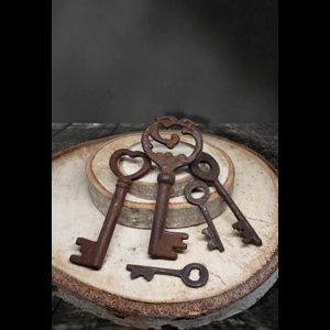 Vintage Antique Skeleton Keys
