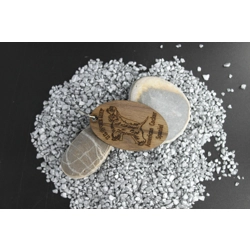 Spaniel (American Cocker)