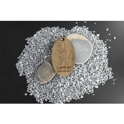 Dachshund (Smooth Haired)