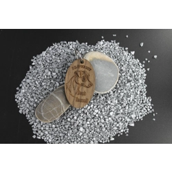 Jack Russell Terrier