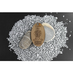 Retriever (Labrador)