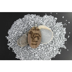 Spaniel (English Springer)