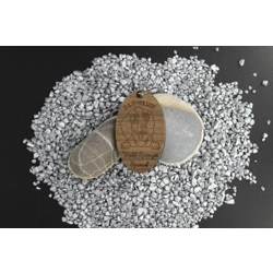 Spaniel (Welsh Springer)