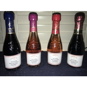 Custom Wine Bottles (set of 4)