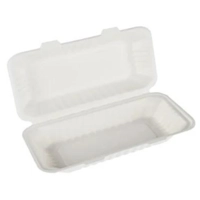 Bagasse box 13x6