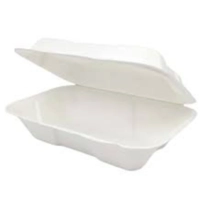 Bagasse box  9x6