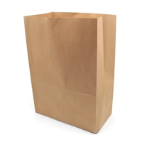 Paper Grab Delivery Bags Large (case 100)