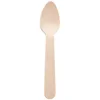 Birchwood Dessert Spoon 160mm/6.3 Inch (Pack of 100)