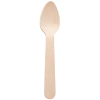 Birchwood Dessert Spoon 160mm/6.3 Inch (Pack of 100)