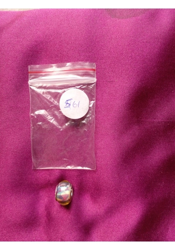 Sterling Multicolored C..