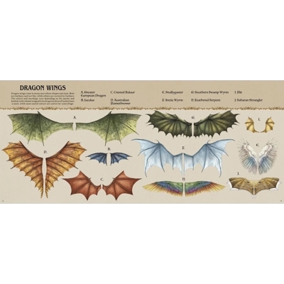 A Natural History of Dragons A Natural History of Dragons