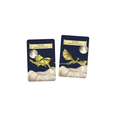 Discover the Dragons - A Memory Game Discover the Dragons - A Memory Game